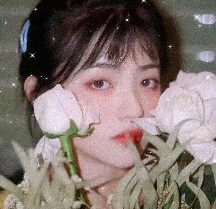 沙普的挑战